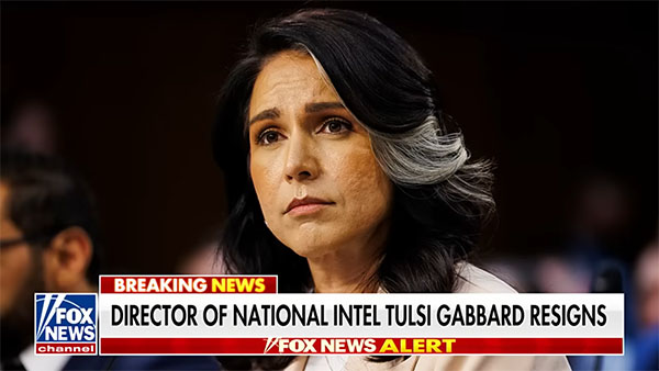 Fox News Tulsi Gabbard